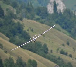 White glider, Seagull, flying towards the camera and banking to the right against the greenery of a mountainside