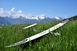 White Seagull glider in bright sunshine lying in the grass with the snow-topped Alps in the background