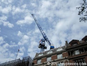 blue_crane_400_1f735a