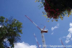 cranes_and_flowers_400_1fd92f