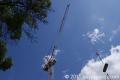 thumb_crane_with_load_closer_400_1f4834