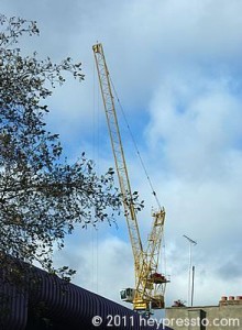 yellow_crane_400_1468c4