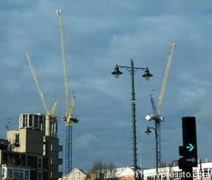 yellow_cranes_2_400_1b78a0